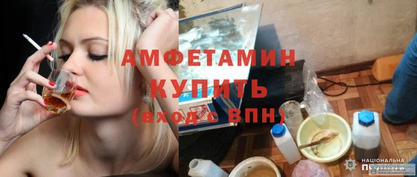 индика Богородицк