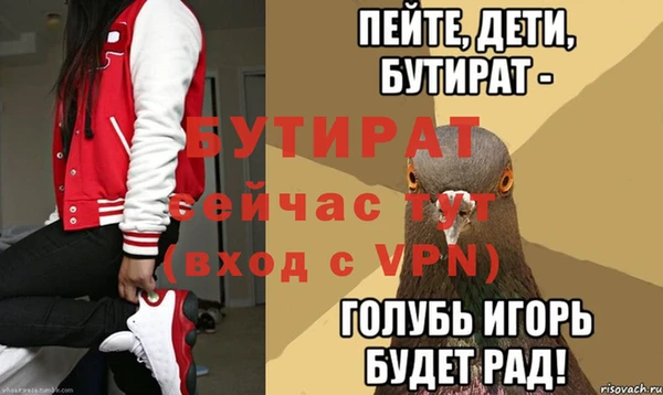 стаф Богданович