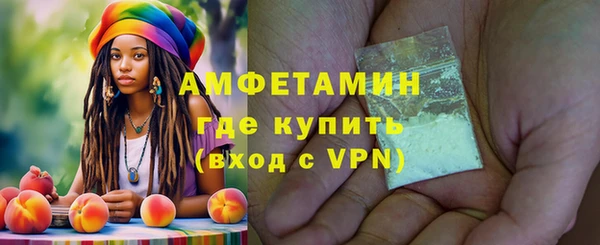 индика Богородицк