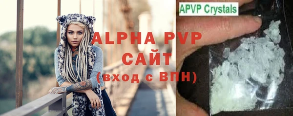 индика Богородицк