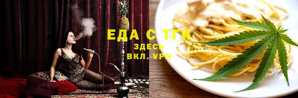 индика Богородицк