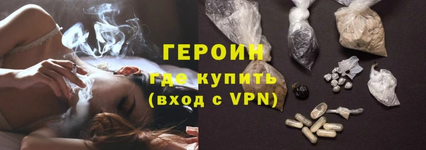 индика Богородицк