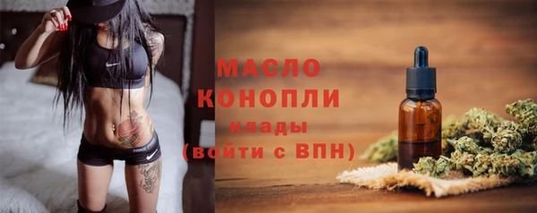 стаф Богданович