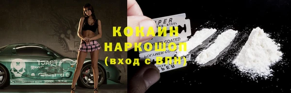 стаф Богданович