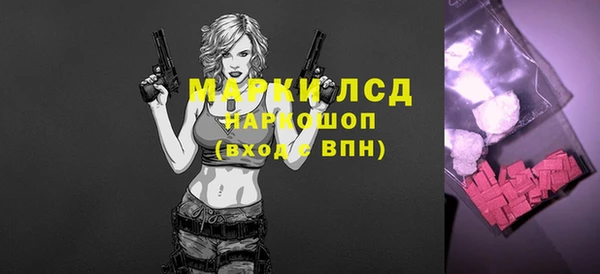 стаф Богданович