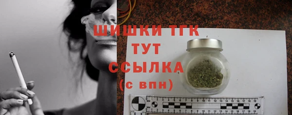 стаф Богданович