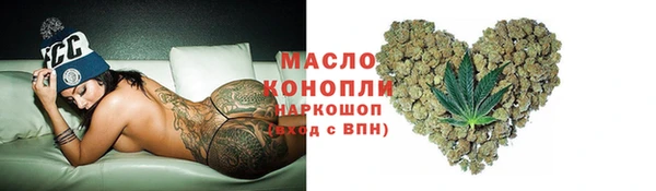 индика Богородицк