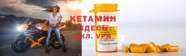 индика Богородицк