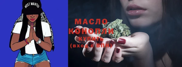 индика Богородицк