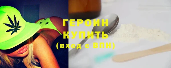 индика Богородицк