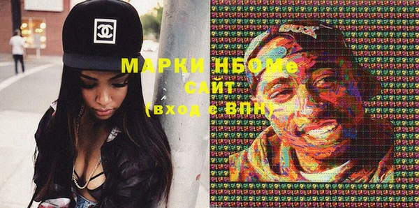 индика Богородицк