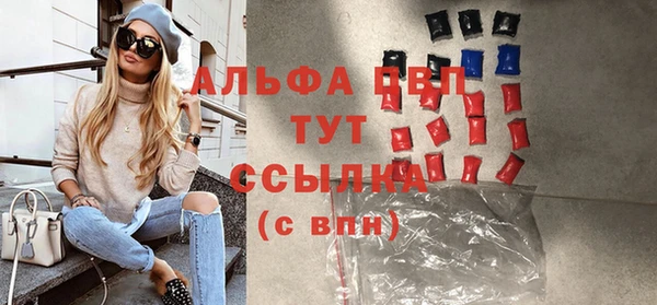 стаф Богданович