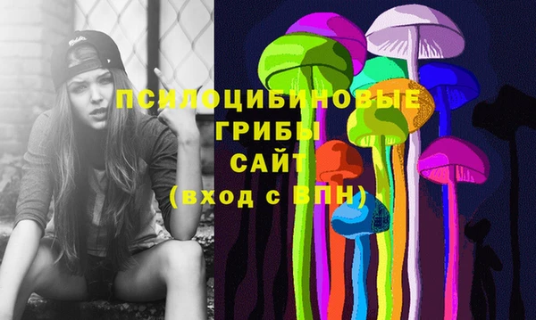 стаф Богданович