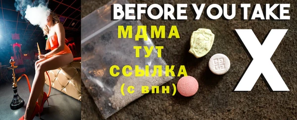 индика Богородицк