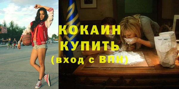 стаф Богданович