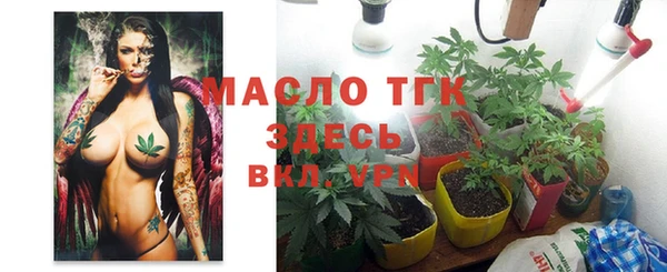 стаф Богданович