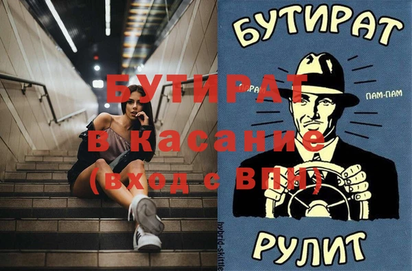 индика Богородицк