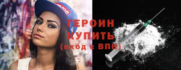 индика Богородицк